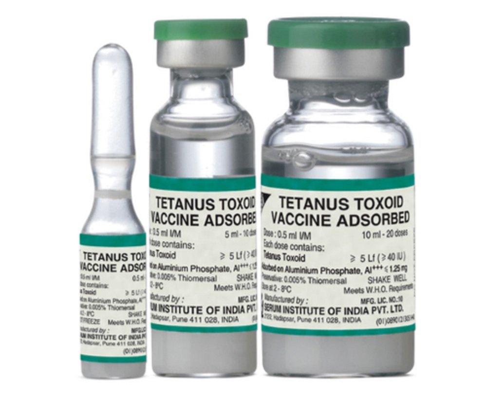 TT Vaccine