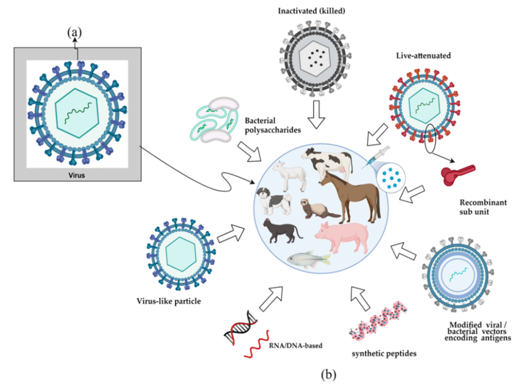 Animal vaccine manufacturer