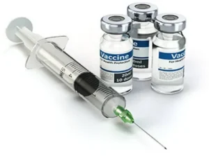 Poultry Vaccine Exporter – Delivering Quality Animal Health Globally