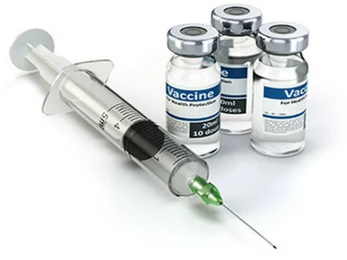 Poultry Vaccine Exporter – Delivering Quality Animal Health Globally