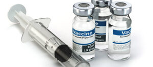 WHO GMP vaccine exporter